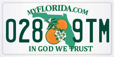 FL license plate 0289TM