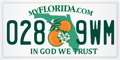 FL license plate 0289WM