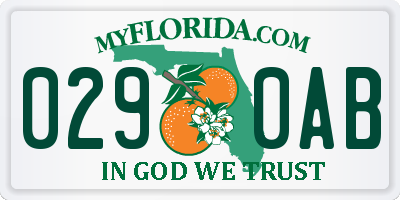 FL license plate 0290AB