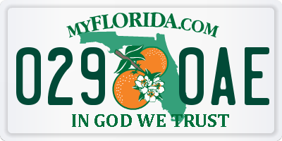 FL license plate 0290AE