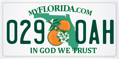 FL license plate 0290AH