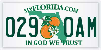 FL license plate 0290AM