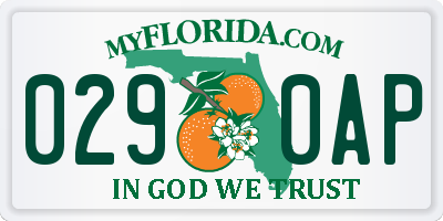 FL license plate 0290AP
