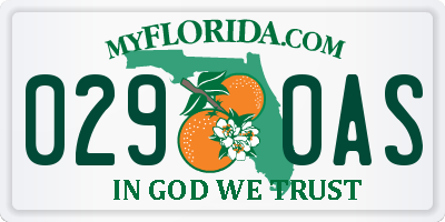 FL license plate 0290AS