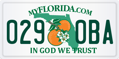 FL license plate 0290BA