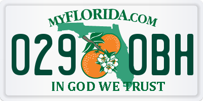 FL license plate 0290BH