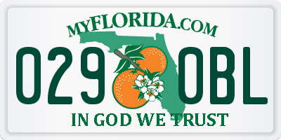 FL license plate 0290BL