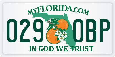 FL license plate 0290BP