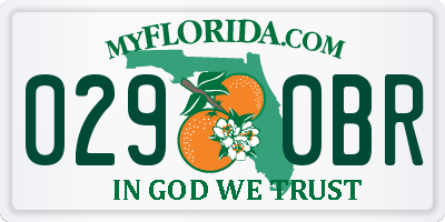 FL license plate 0290BR
