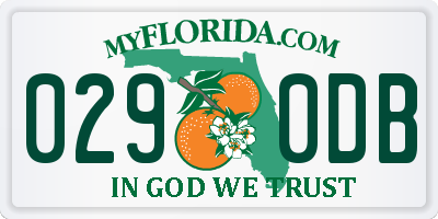 FL license plate 0290DB