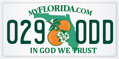 FL license plate 0290DD