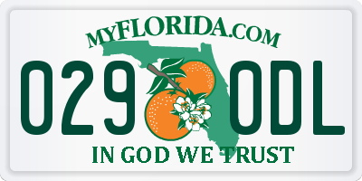 FL license plate 0290DL