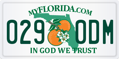 FL license plate 0290DM