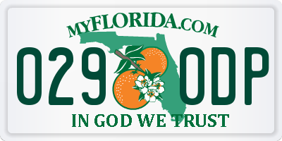 FL license plate 0290DP