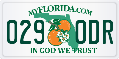 FL license plate 0290DR