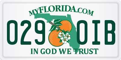 FL license plate 0290IB