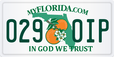 FL license plate 0290IP