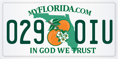 FL license plate 0290IU