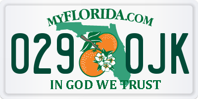 FL license plate 0290JK