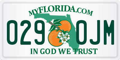 FL license plate 0290JM