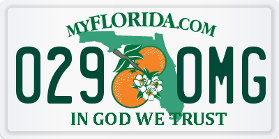 FL license plate 0290MG