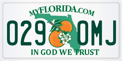 FL license plate 0290MJ