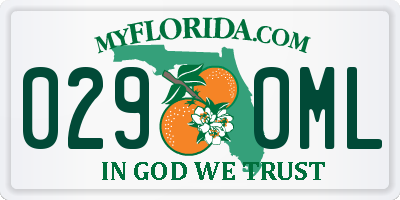 FL license plate 0290ML