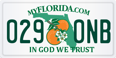 FL license plate 0290NB