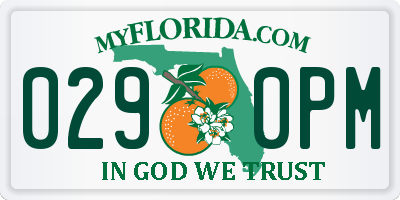FL license plate 0290PM