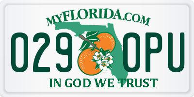 FL license plate 0290PU