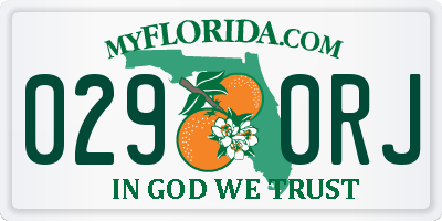 FL license plate 0290RJ