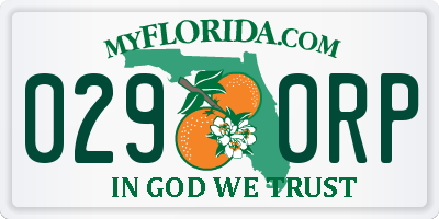 FL license plate 0290RP