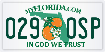 FL license plate 0290SP