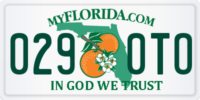 FL license plate 0290TO