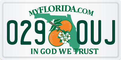 FL license plate 0290UJ