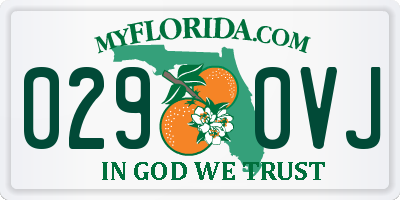 FL license plate 0290VJ