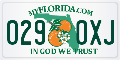 FL license plate 0290XJ