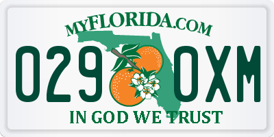 FL license plate 0290XM
