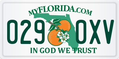 FL license plate 0290XV