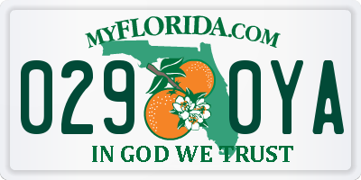 FL license plate 0290YA