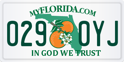 FL license plate 0290YJ