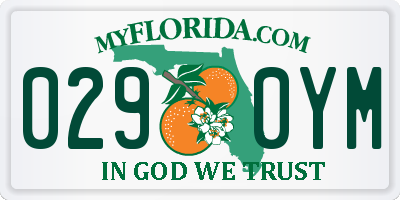 FL license plate 0290YM