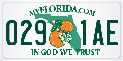 FL license plate 0291AE