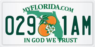 FL license plate 0291AM