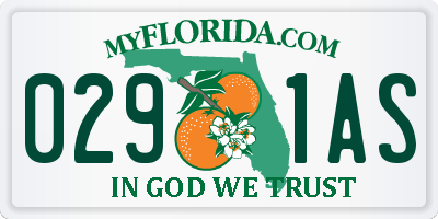 FL license plate 0291AS