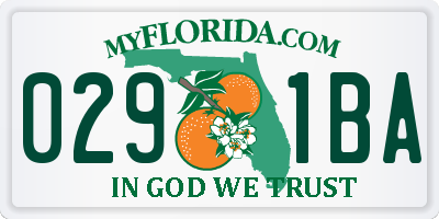 FL license plate 0291BA