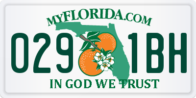 FL license plate 0291BH