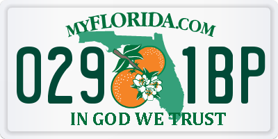 FL license plate 0291BP
