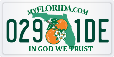 FL license plate 0291DE