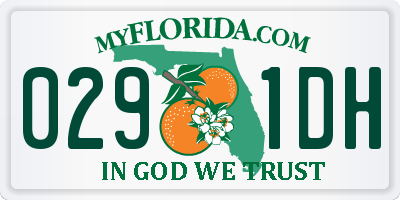 FL license plate 0291DH